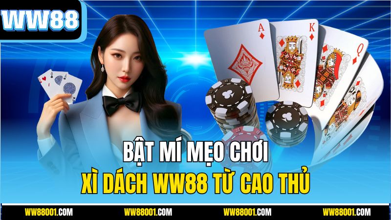 bat-mi-meo-choi-xi-dach-ww88-tu-cao-thu